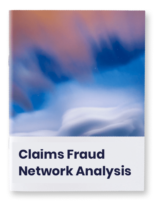 Cogitate Claims Fraud Network Analysis