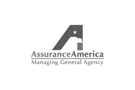 Assurance America